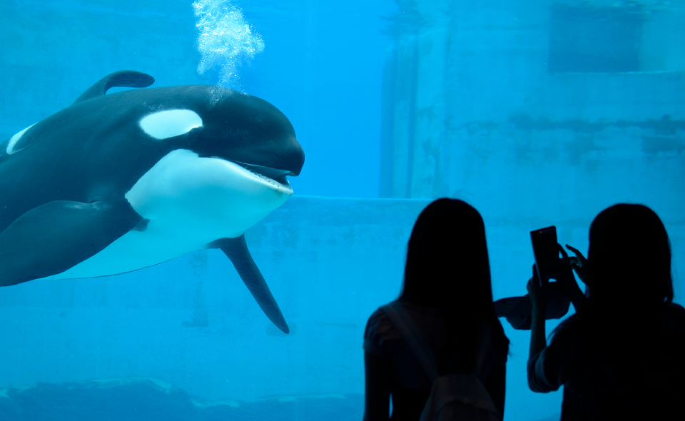名古屋港水族館