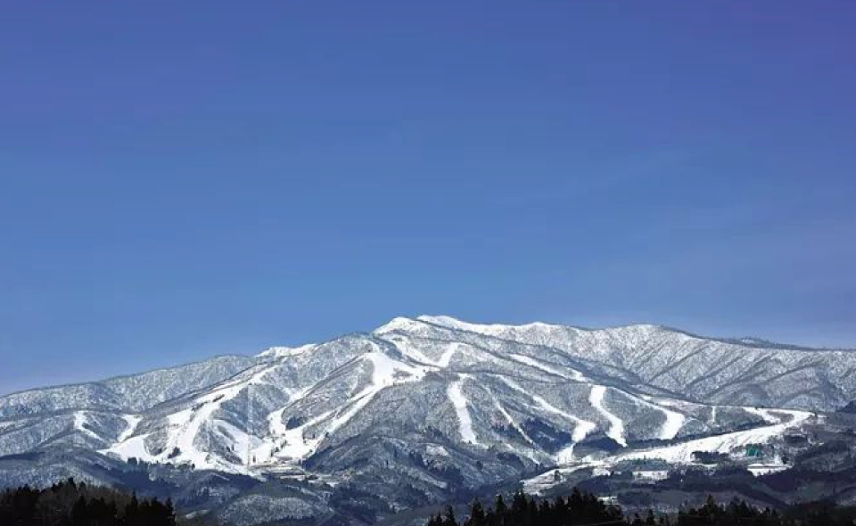 高鹫SNOW PARK / DYNALAND